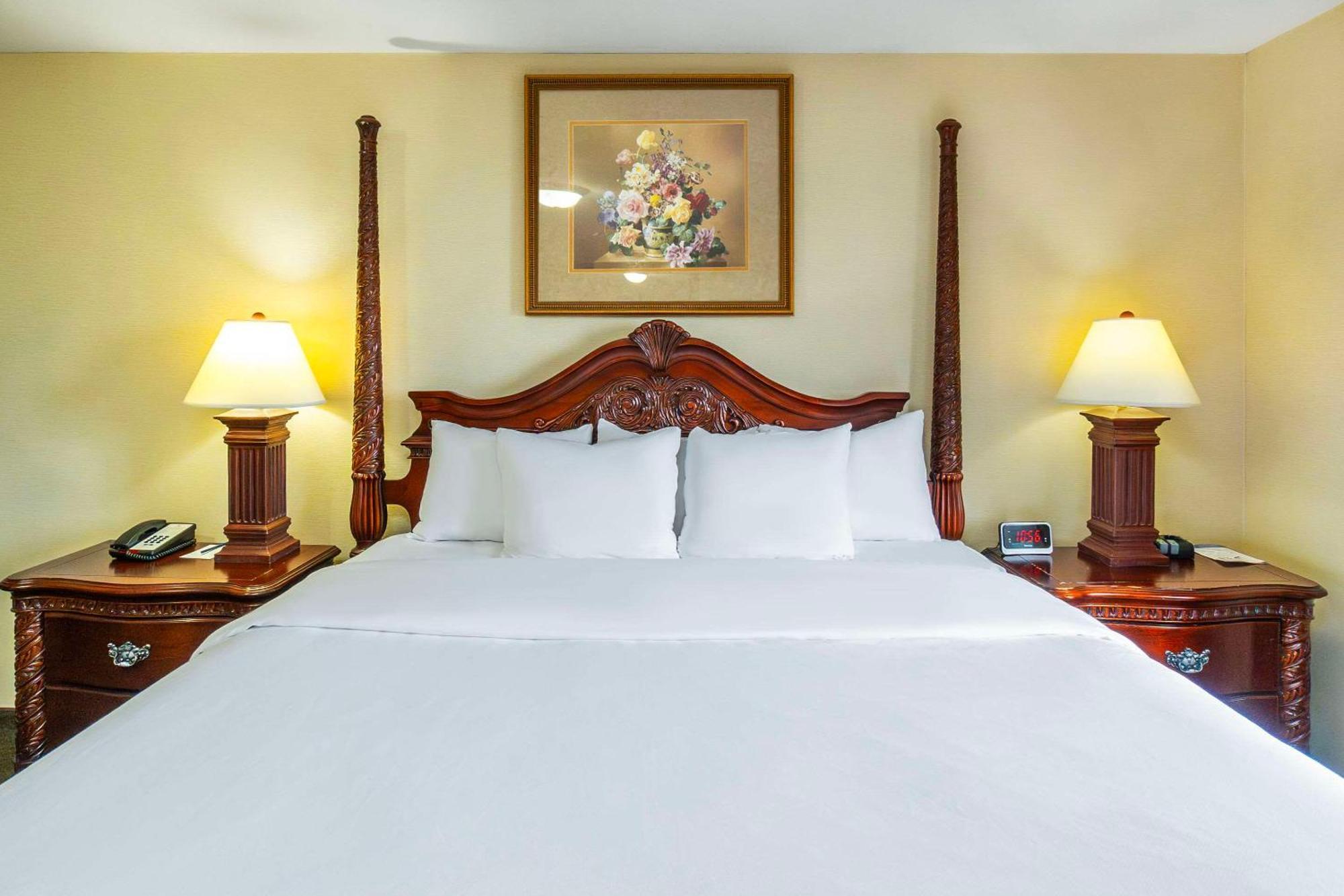 Comfort Inn & Suites Salmon Arm Esterno foto